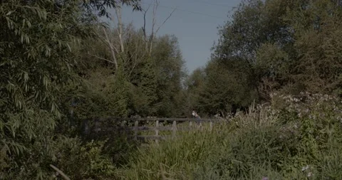 Young man walking quickly over the wooden bridge, wearing a surgical mask Stock Footage 136553195