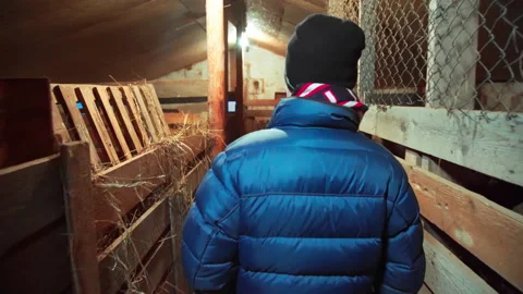 Young man walking through the farm Stock Footage 168937798