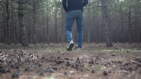 Young Man Walking Through The Forest In A Black Hoodie. Stock Footage 180403053