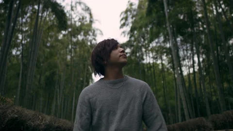 Young man walking through a nature looking up in wonderment in a bamboo forest i Stock Footage 199459230