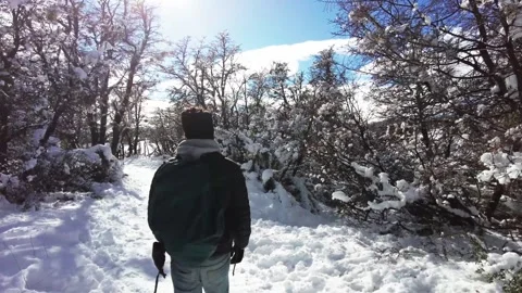 Young Man Walking Through Snowy Winter Landscape on a Scenic Forest Path Stock Footage 338219471