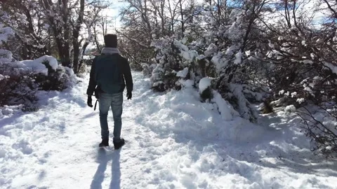 Young Man Walking Through Snowy Winter Landscape on a Scenic Forest Path Vídeo Stock 338219496