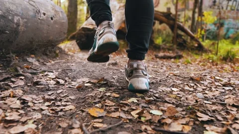 Young man walking through tall trees in sunny forest, sneakers close-up Stock Footage 152585448