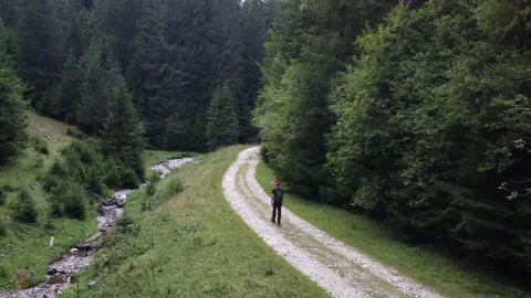 Young man walking through tall trees in summertime on the Trail Near the river Stock Footage 194555199