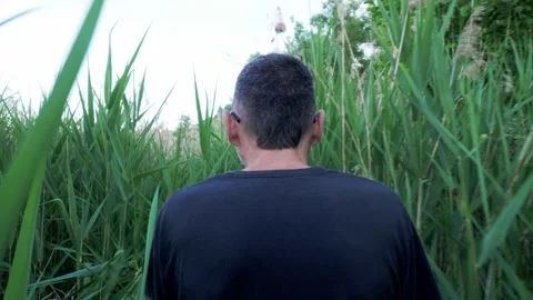 Young man walking through wild nature surrounded by very tall plants Vídeo Stock 335701852