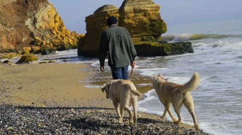 Young man walking with two dogs on the beach slow motion Stock Footage 61057502