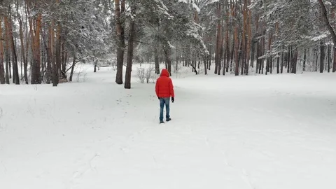 Young man walking in the winter forest Stock Footage 127778971