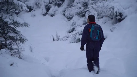 A young man walks alone through a snowy forest. Young pretty tourist sneaks Stock Footage 99966928