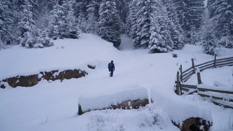 A young man walks alone through a snowy forest. Young pretty tourist sneaks Stock Footage 99967666