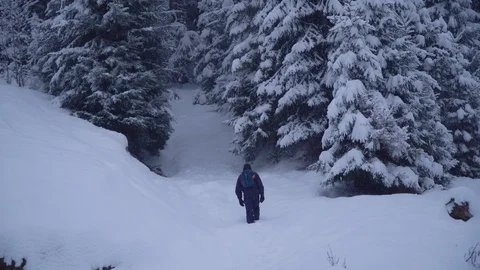 A young man walks alone through a snowy forest. Young pretty tourist sneaks Stock Footage 99968075