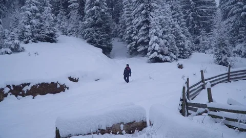 A young man walks alone through a snowy forest. Young pretty tourist sneaks Stock Footage 99968824