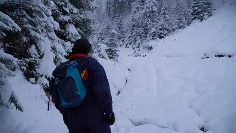 A young man walks alone through a snowy forest. Young pretty tourist sneaks Stock Footage 99979534