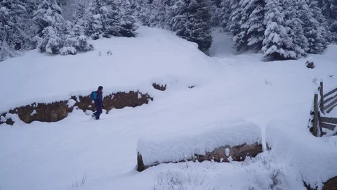 A young man walks alone through a snowy forest. Young pretty tourist sneaks Stock Footage 99979899