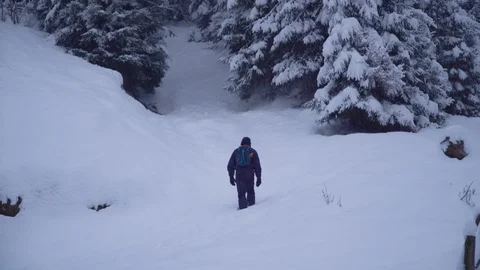 A young man walks alone through a snowy forest. Young pretty tourist sneaks Stock Footage 99980099