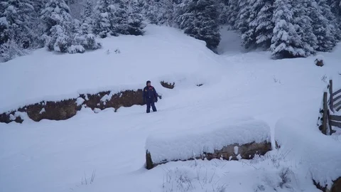 A young man walks alone through a snowy forest. Young pretty tourist sneaks Stock Footage 99980563