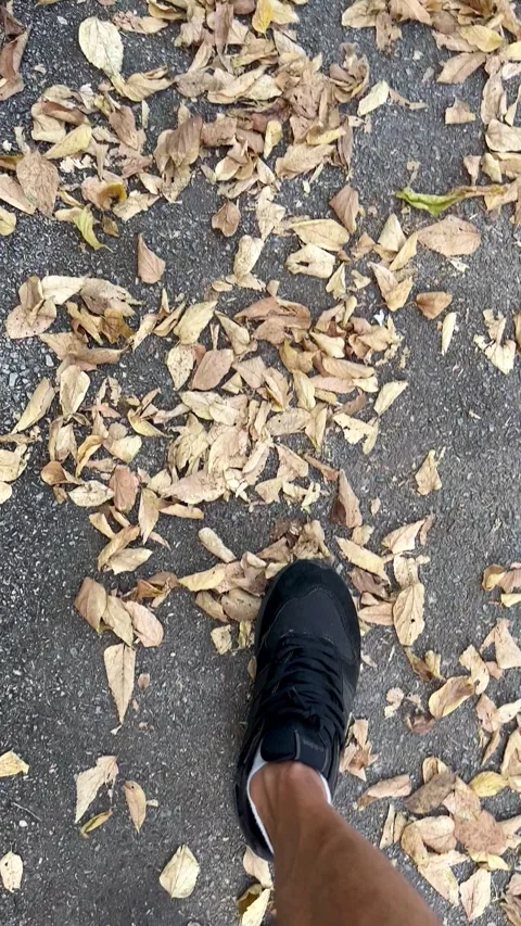 A young man walks on dried crispy leaves and enjoys the sound Stock Footage 248682611