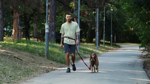 A young man walks with his German Shepherd along a quiet paved path surrounded Stock Footage 341958560