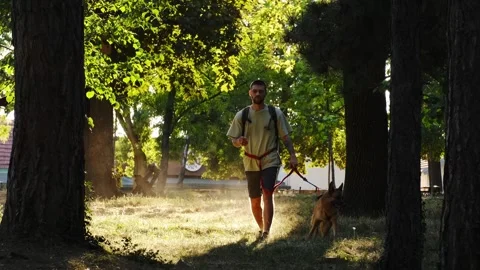 A young man walks with his German Shepherd through a sunlit forest clearing Stock Footage 341958868