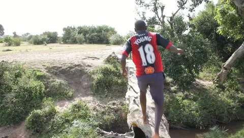 Young Man Walks Over Fallen Log Stock Footage 10721480