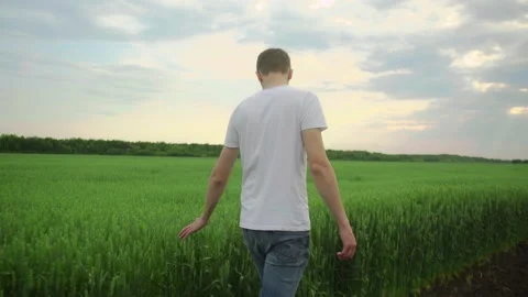 A young man walks through a field on a sunny summer day Video stock 168689746