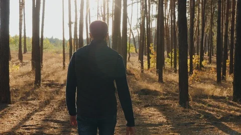 A young man walks through the pine forest on sunny day Stock Footage 116663732