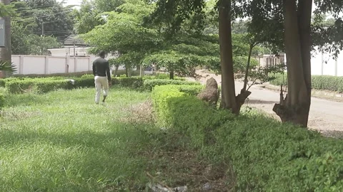 Young man walks through public park Stock Footage 292534253