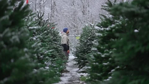Young man walks through a snowy Christmas tree market in Europe, comparing Stock Footage 321424874