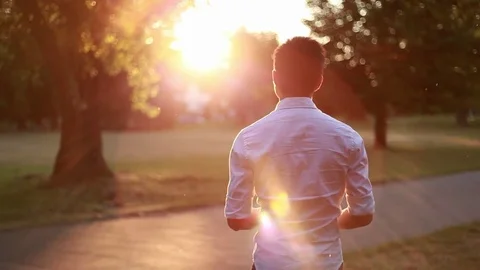 A young man watching a sunset in a park Stockbeeldmateriaal 80680912