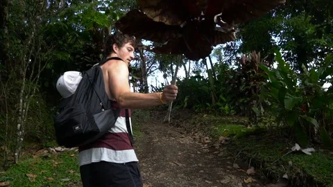 Young Man Waving With Big Leaf In Jungle [Slow Motion] Stock Footage 88884110