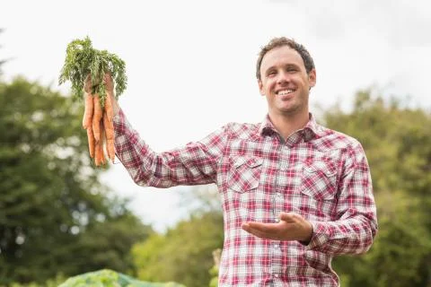 Young man wearing a check shirt presenting some carrots Stock Photos