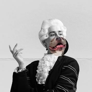 Young man in white wig in image of medieval royal person with dog's face instead Stock Photos