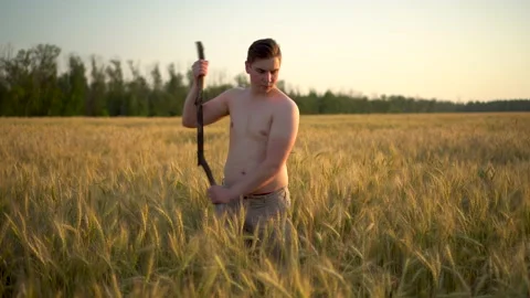A young man without a shirt mows wheat scythe. A man in a field at sunset. Stock-Footage 134683530