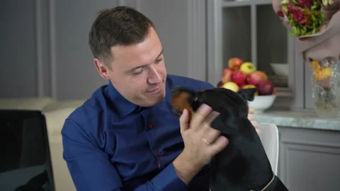 Young man is working from home with his computer in office and his dog distracts Stock Footage 168726565