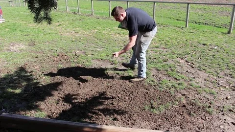 A Young Man Working To Re Grow Lawn Spreading Grass Seed Video stock 74103300