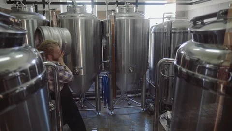 Young man working at small craft beer making factory and checking the quality of Stock Footage 116039964