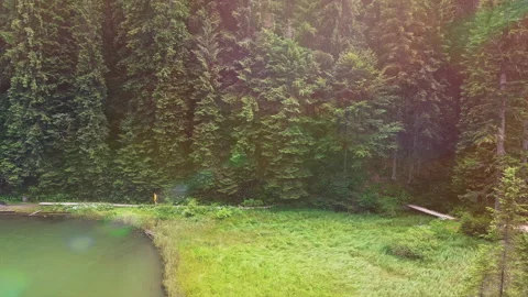 Young man in yellow jacket is going along mountain lake in forest. Stock Footage 151497723