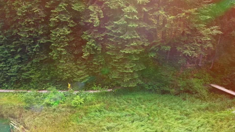 Young man in yellow jacket is going along mountain path in forest. Video stock 151497914