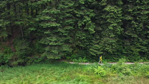 Young man in yellow jacket is going along mountain path in forest. Stock Footage 151497977