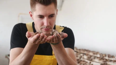 Young man in yellow uniform holding snails on the hands and looks at it Stock Footage 305050198