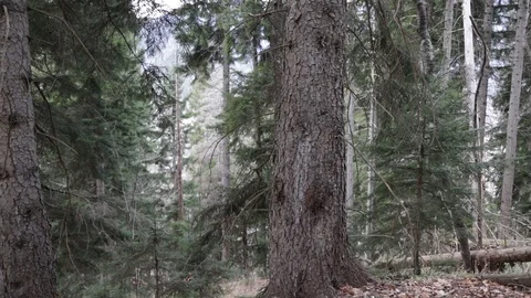 A young man3 Stock Footage 123014245
