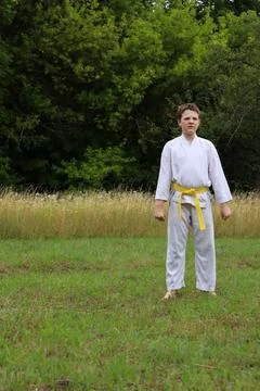 Young martial artist practicing forms in a grassy field during daytime in a Stock Photos