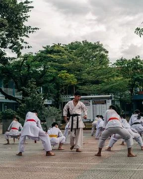 Young martial arts students practicing synchronized exercises during an outdoor Fotos de archivo