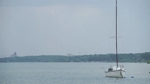 The young men float on sailing, learning water sports. Blue lake in a bright day Stock Footage 65331459