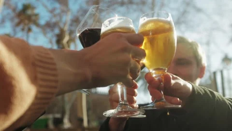 Young men having fun together,celebrating and cheers drinking beer and clinking Stock Footage 274573920