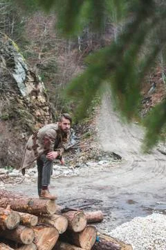 Young men on logs in the forest. Pine trees Stock Photos