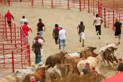 Young men run ahead of stampeding bulls at georgia event Foto stock