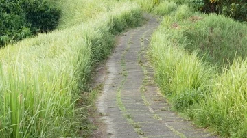 Young men running over green hill over jungle forest background. trail of Stock Footage 85924357