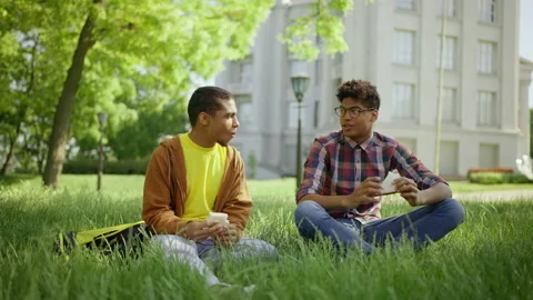 Young men talking and eating sandwiches on campus, college students on a break Stock Footage 205925954
