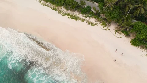 Young men walking at beautiful beach Stock Footage 87032549