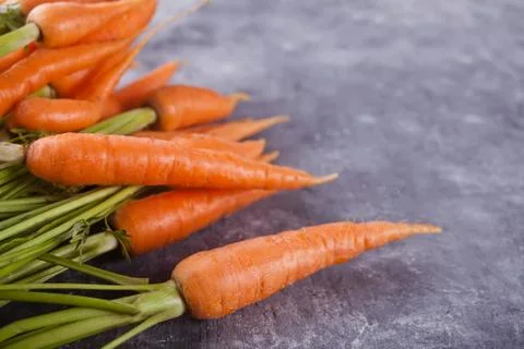 Young mini carrot in row over concreate background. Flat lay, space. Cooking  Stock Photos